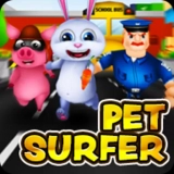 Run Pet Surfer